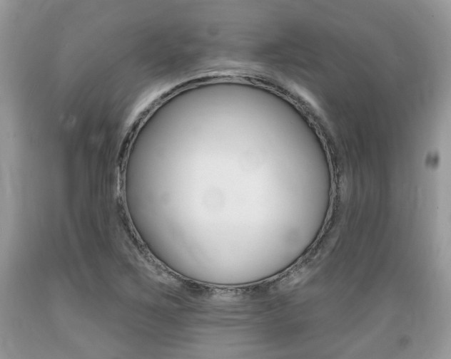 X0000089661267200706210723