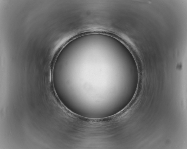 X0000089661269200706210723