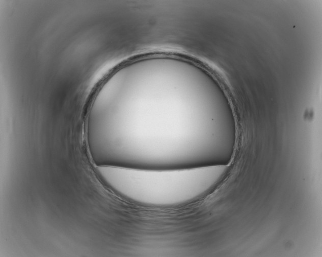 X0000089661271200706210723