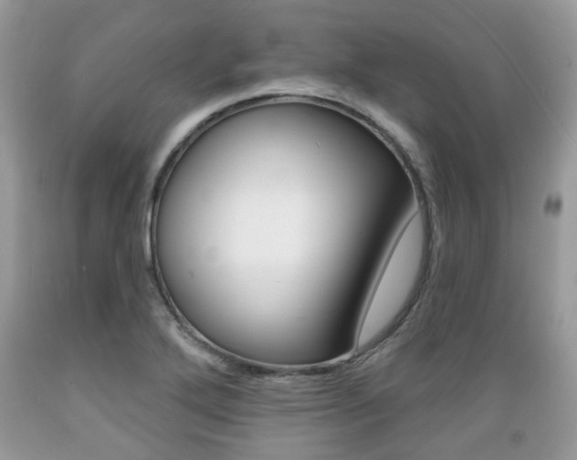 X0000089661272200706210723