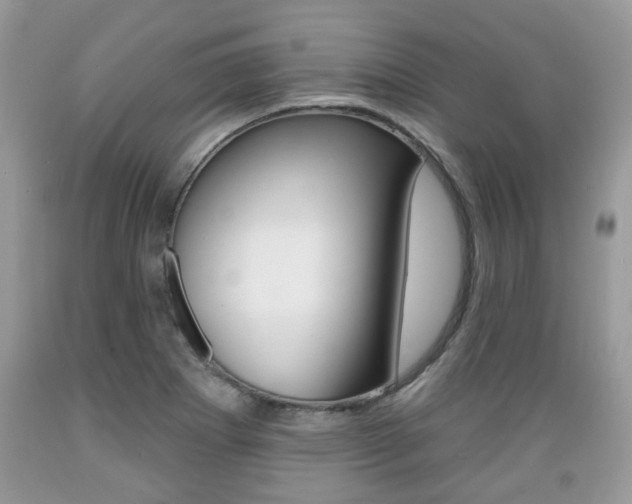 X0000089661273200706210722