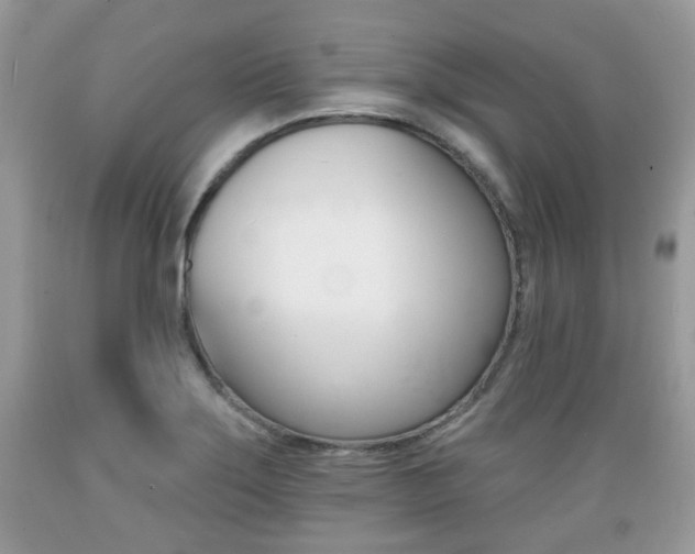 X0000089661275200706210722