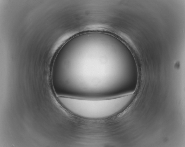 X0000089661277200706210722