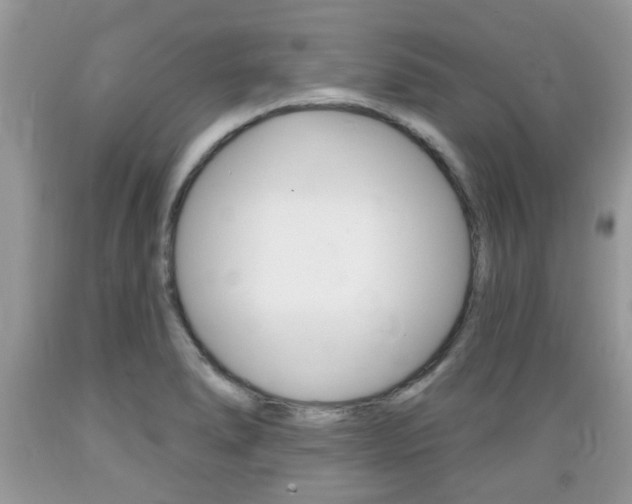 X0000089661278200706210722