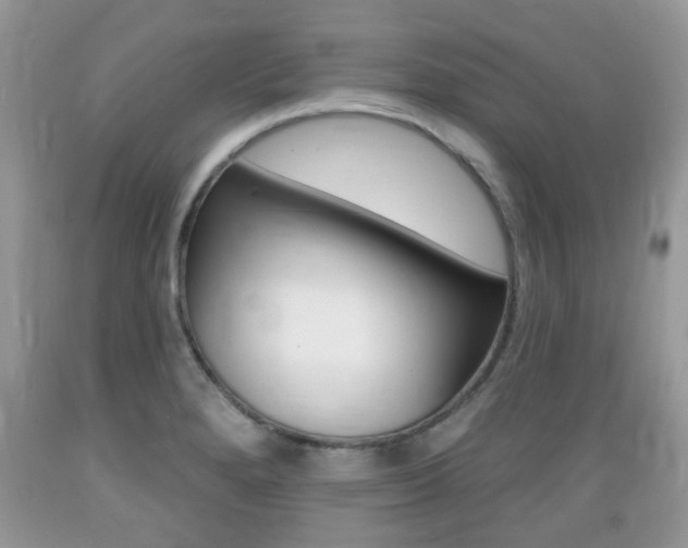 X0000089661280200706210722