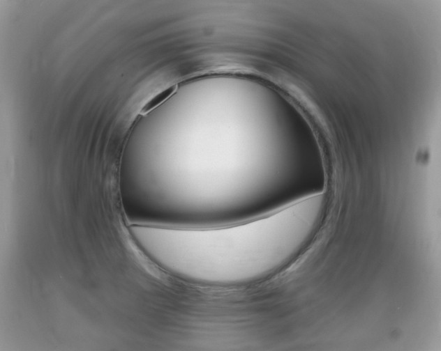 X0000089661281200706210722