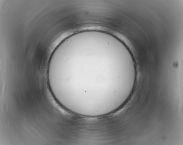 X0000089661282200706210722