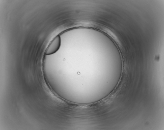 X0000089661283200706210722