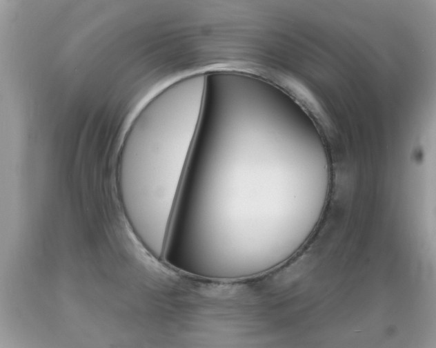 X0000089661284200706210722