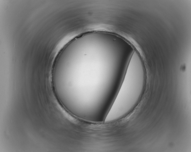 X0000089661285200706210722