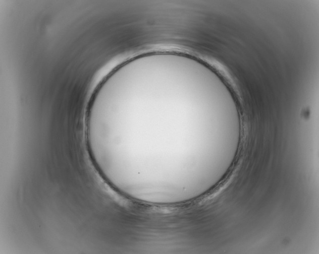 X0000089661286200706210722