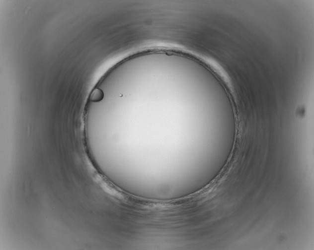 X0000089661287200706210722