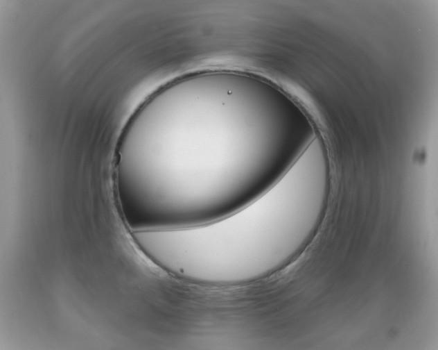 X0000089661288200706210722