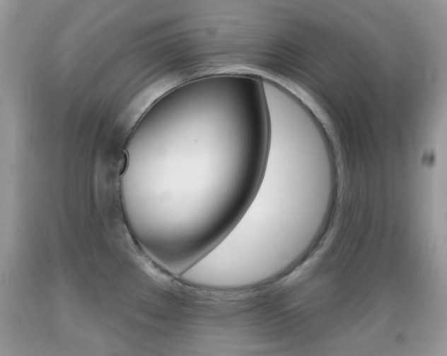 X0000089661289200706210722