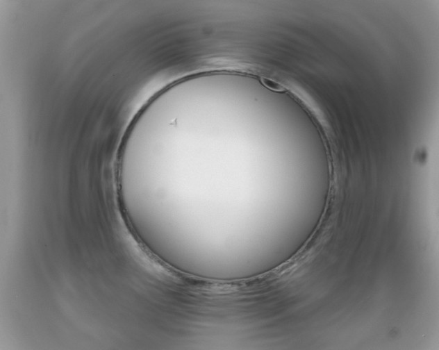 X0000089661291200706210722