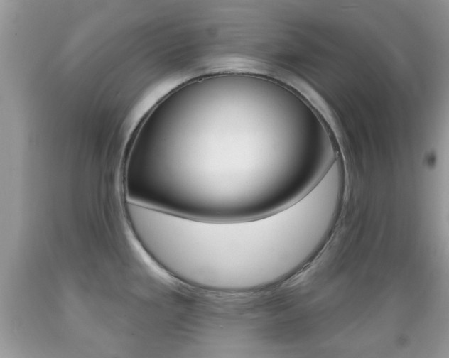 X0000089661293200706210722
