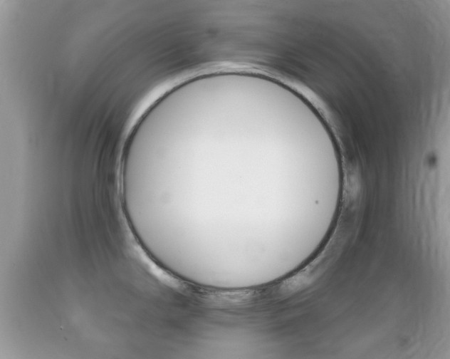 X0000089661294200706210722