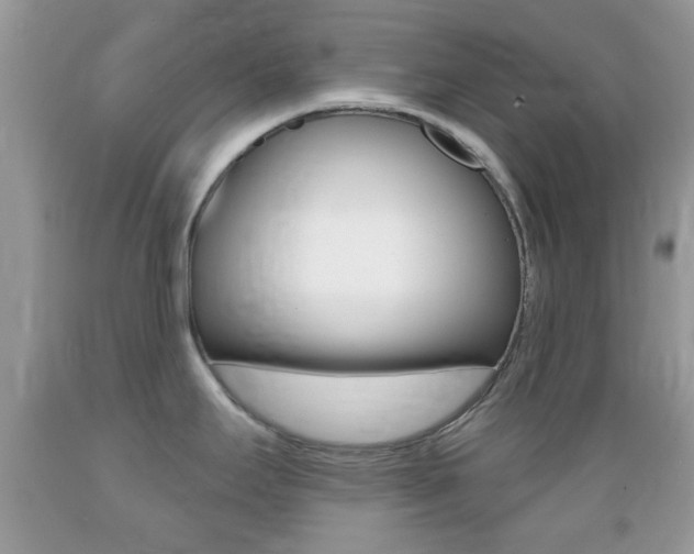 X0000089661295200706210722