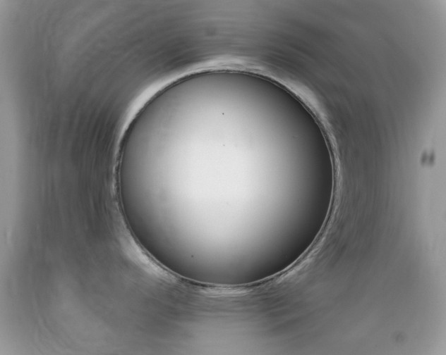 X0000089661296200706210722