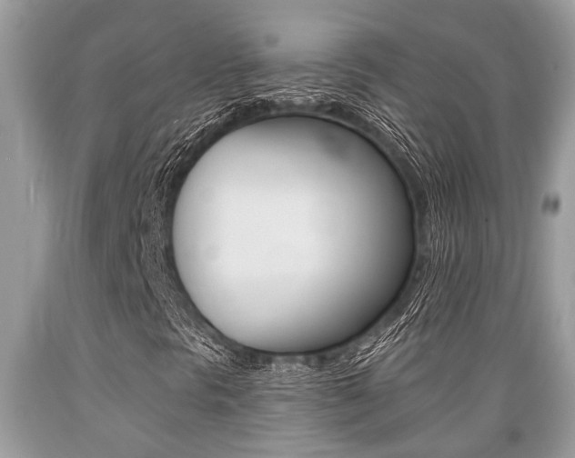 X0000089661297200706210721