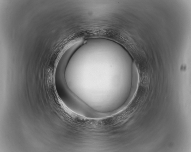 X0000089661298200706210721