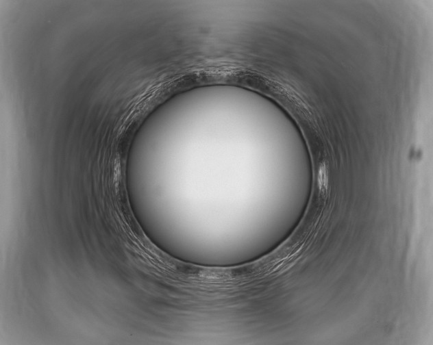 X0000089661299200706210721
