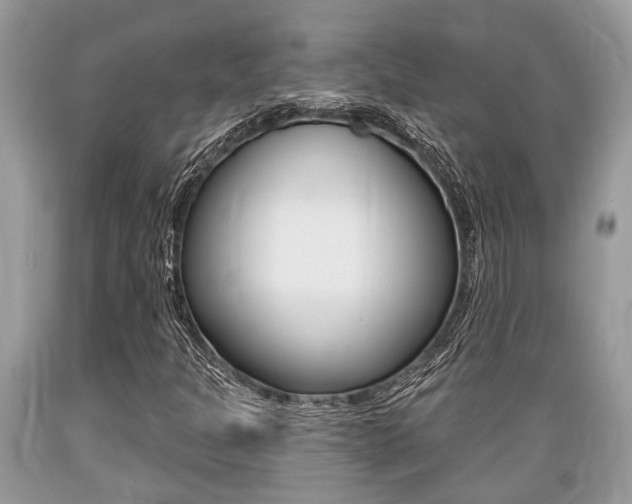 X0000089661301200706210721