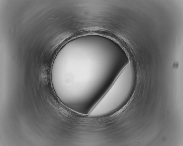 X0000089661305200706210721