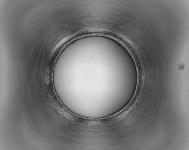 X0000089661306200706210721