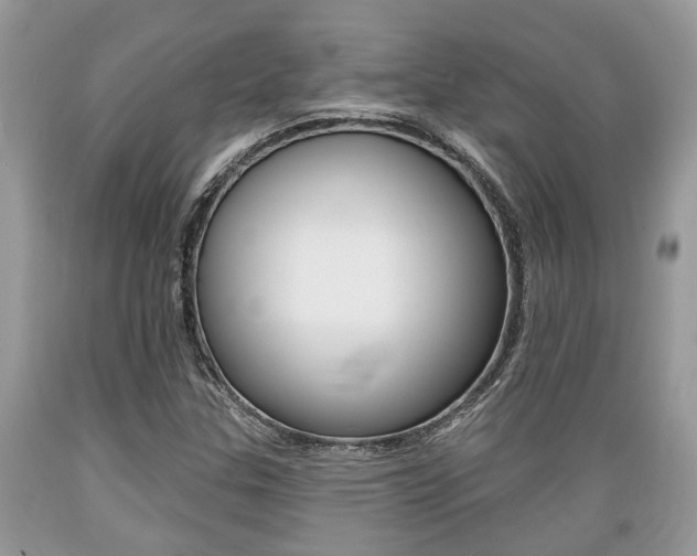 X0000089661307200706210721