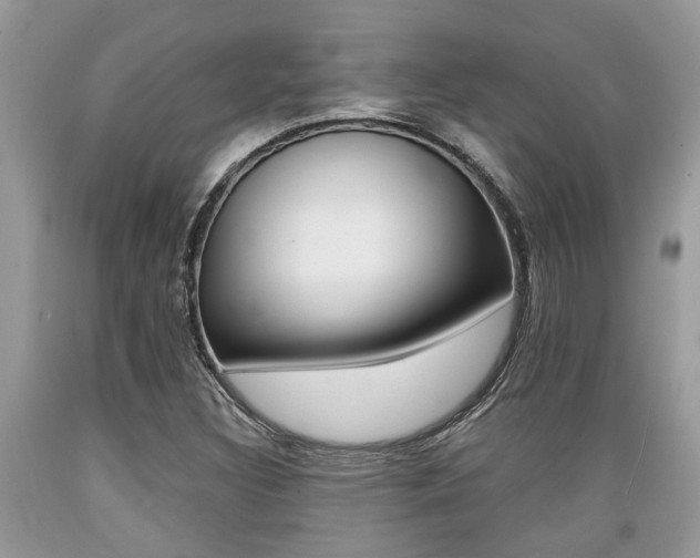 X0000089661308200706210721