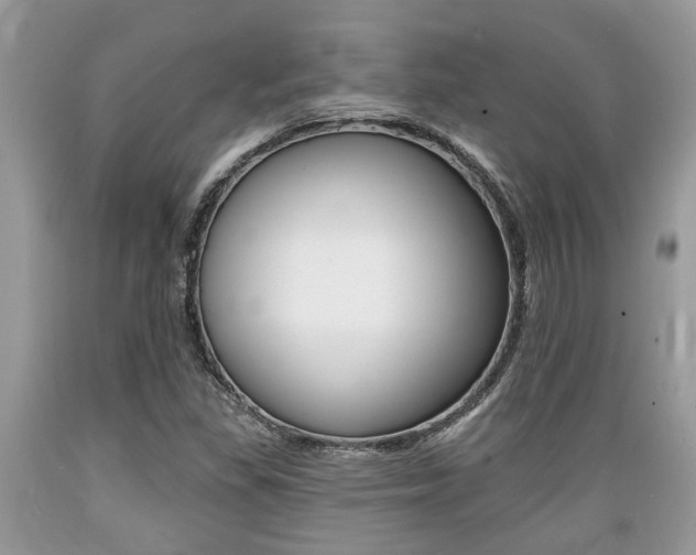 X0000089661309200706210722