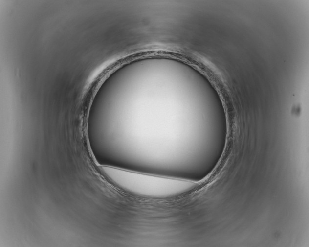 X0000089661310200706210722