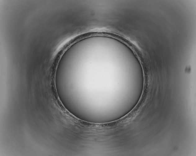 X0000089661311200706210722