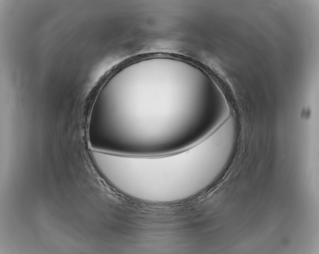 X0000089661312200706210722