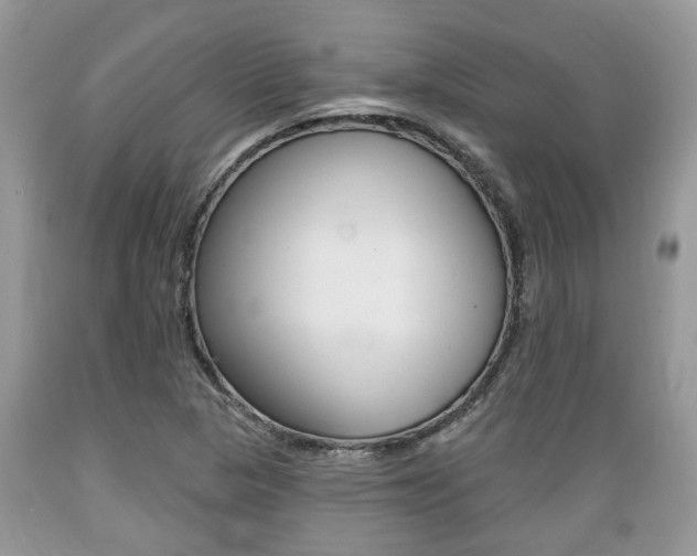 X0000089661313200706210722