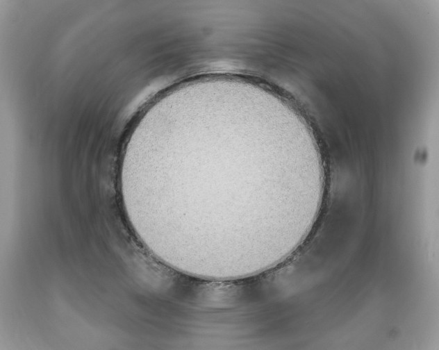 X0000089661314200706210722