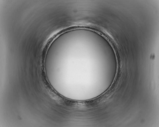 X0000089661315200706210722