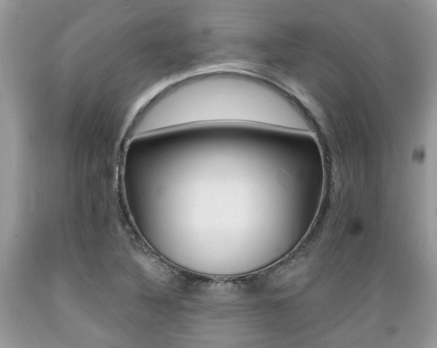 X0000089661316200706210722