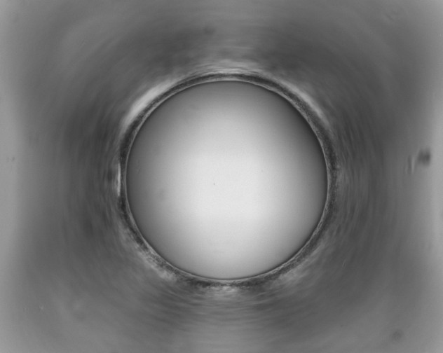 X0000089661317200706210722
