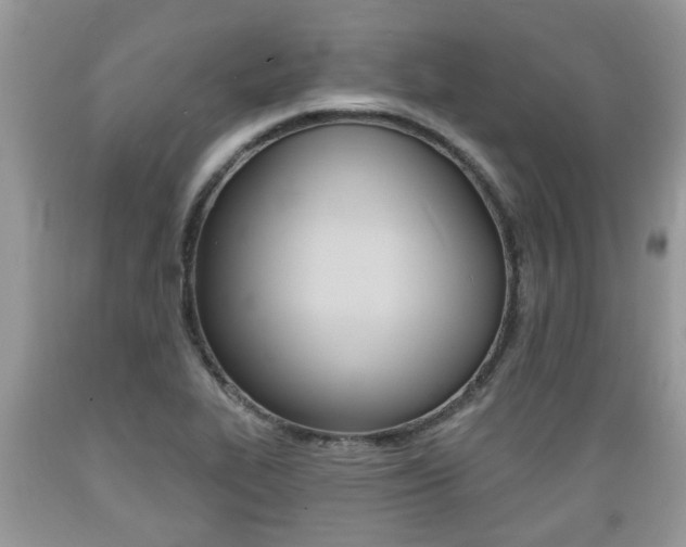 X0000089661319200706210722