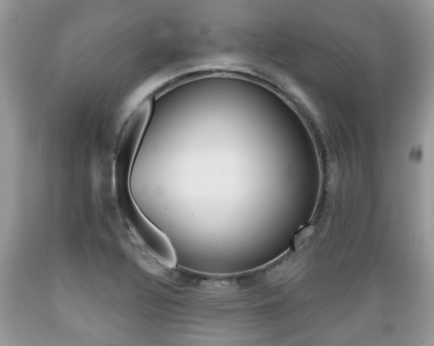 X0000089661320200706210722