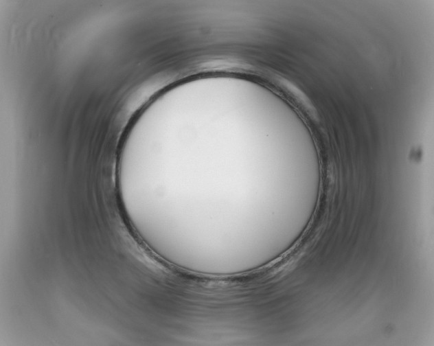 X0000089661322200706210722
