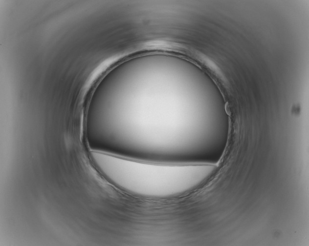 X0000089661323200706210722