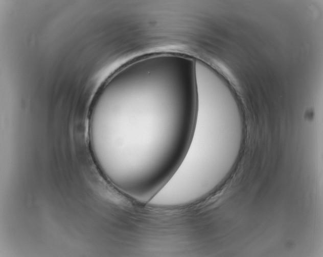 X0000089661324200706210722