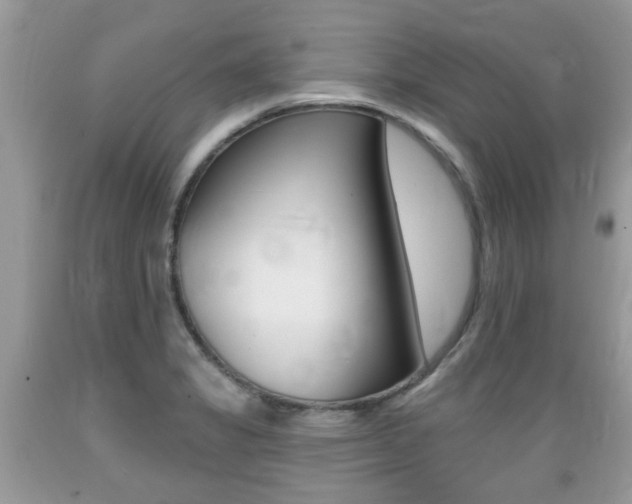 X0000089661325200706210722