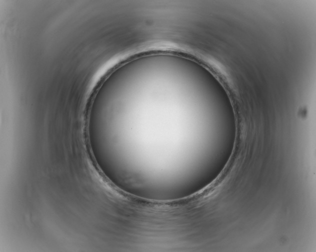 X0000089661326200706210722