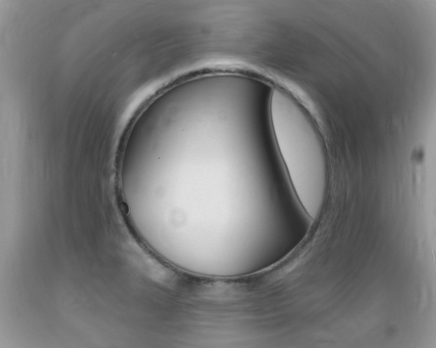 X0000089661327200706210722
