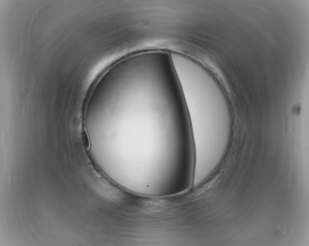 X0000089661328200706210722