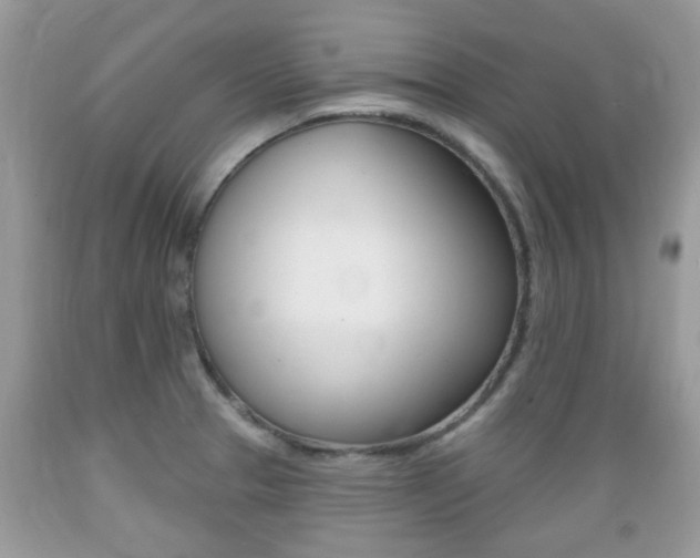 X0000089661329200706210722